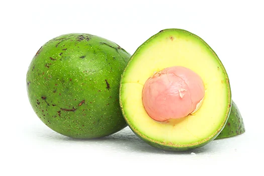 GREAT Deal of Fresh Avocado Tropical Sweet Crop Style Packing GLOBAL Organic Newest  crop