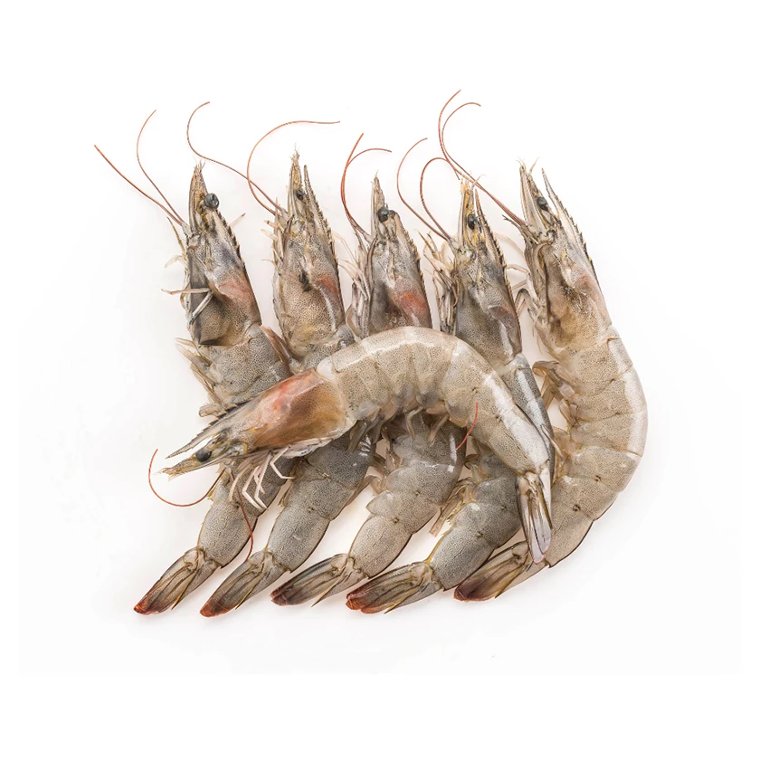 Wholesale Cheap Import Delicious Fresh Seafood Healthy Food Freshwater Live Frozen White Ecuador Shrimp