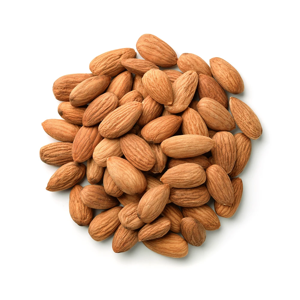Sells fresh healthy large grain almonds prepared in Brazil with durable airtight organic almonds, almond nut suppliers