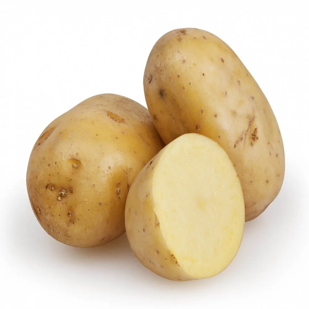 1/6 wholesale irish holland fresh potato seed potatoes potato