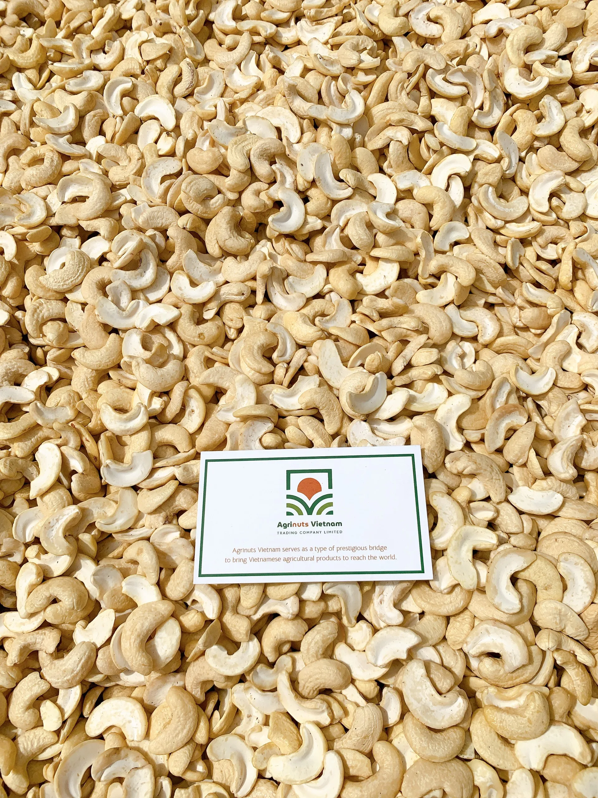 Origin Vietnam Cashew nuts White splits WS high quality best price vacuum bag From Manufacture 84 915600321