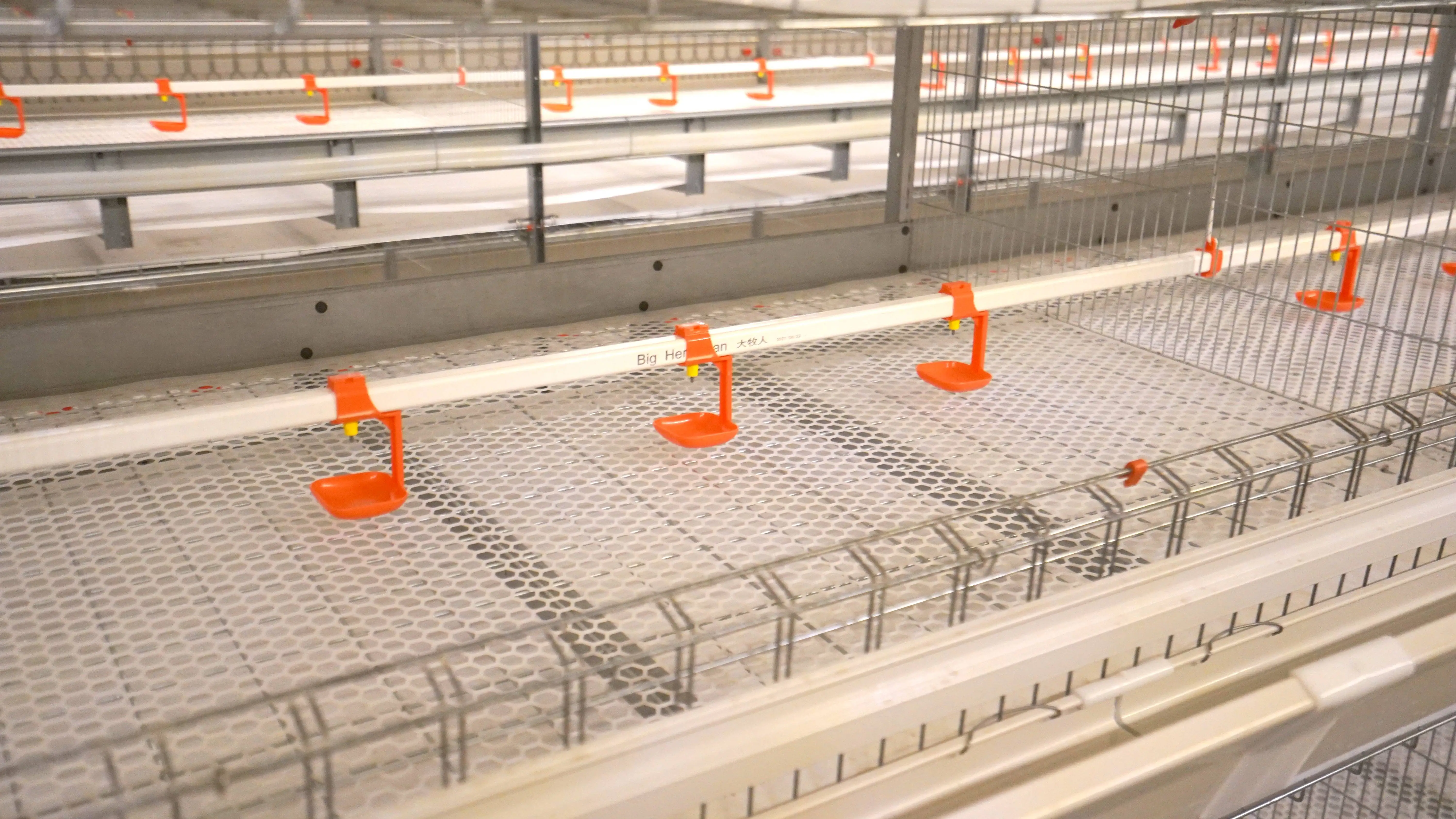Big herdsman broiler cage equipment For poultry farming