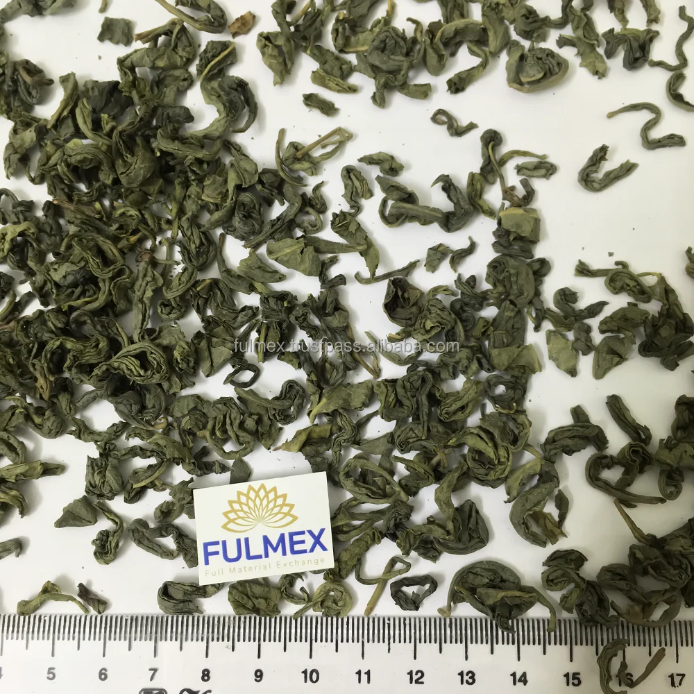 Beverages OP fresh healthy herbal green tea for weight loss in bulk quantity at wholesale price ready in stock