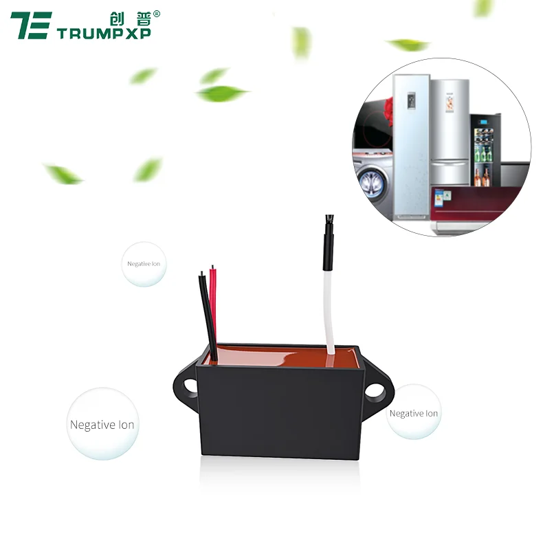 3.0kv-4.5kv AC220V DC12V ion generator needlepoint bipolar refrigerator parts negative ion generator