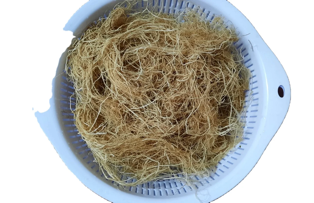 Экстракт PureGel Gracilaria: премиальные красные водоросли для производства агара-устойчивый и универсальный