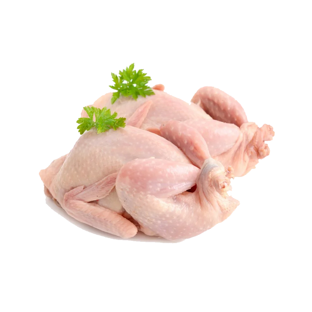 Halal Certificated Frozen Turkey Chicken meat Eating Cooking Food Bulk Whole Meat Top Grade from Meat Factory