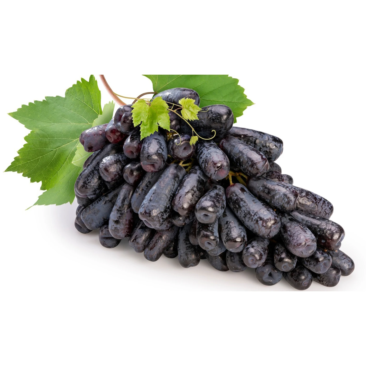 Best Quality New Fresh Green Grapes Crimson Seedless Fresh Fruit Grape for Export Fine starts with good grapes