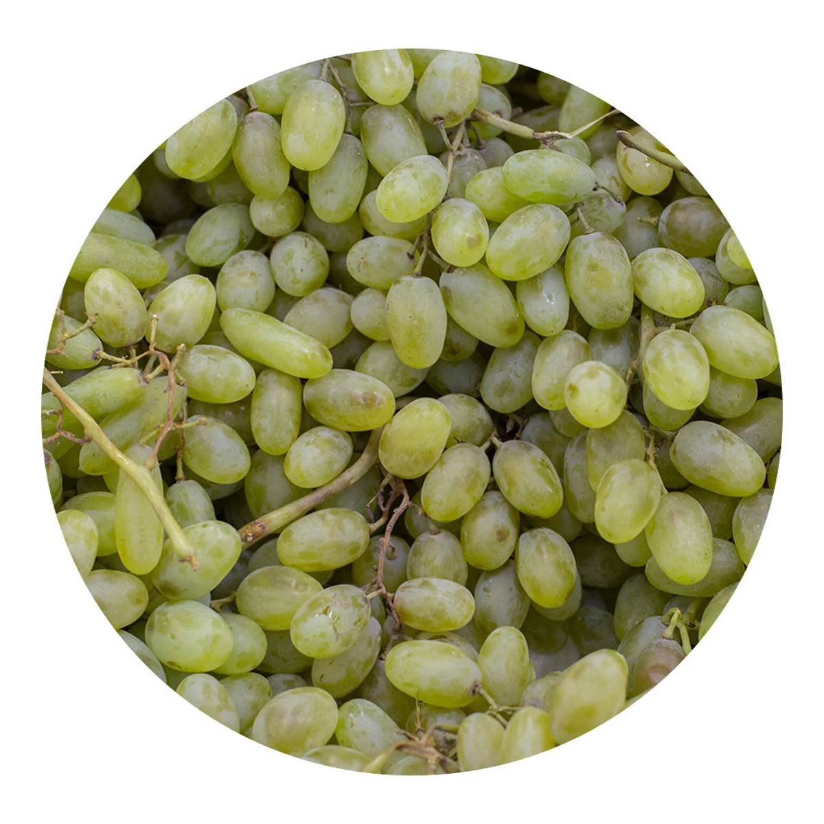 Natural grapes for sale no chemical additives manufacturer prices