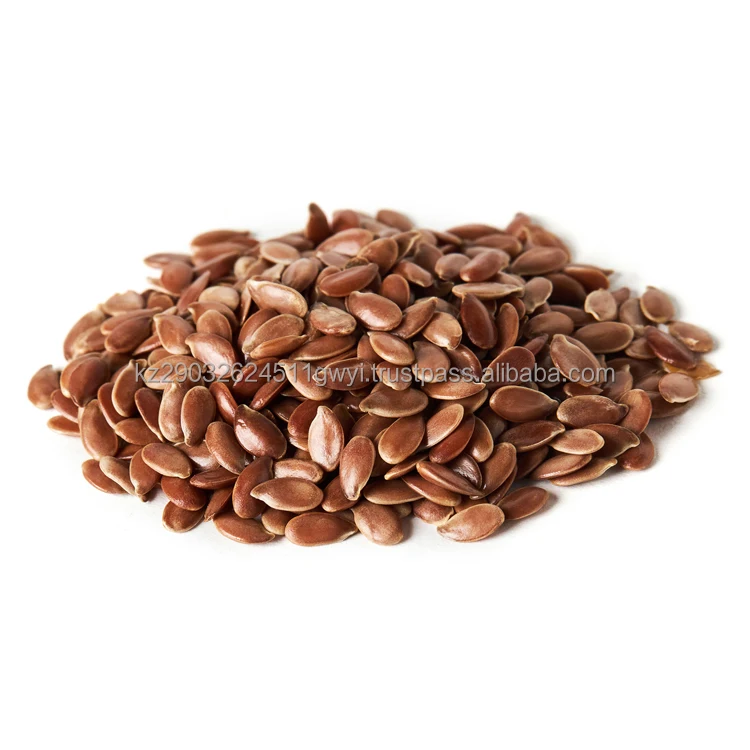 Premium oil flax seeds fresh and crispy smell is normal characteristic of healthy flax without foreign odors