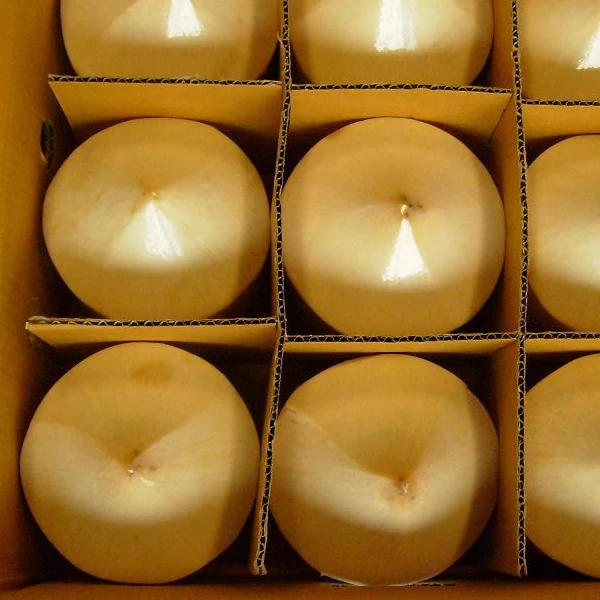 Vietnam Coconut Export With Enough License Global Gap Clean Delicious Delicious Bulk