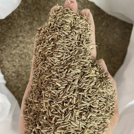 Single Spice & Herb BBQ Seasoning Marinade Spice Dried Cumin High Quality Nature Cumin Wholesalepurity Brand New AD Brown Raw