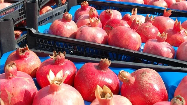 %100 NATURAL FRESH POMEGRANATE from TURKISH PRODUCER