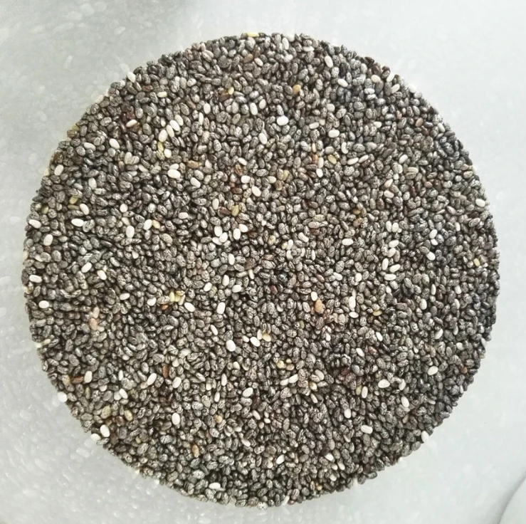 Factory Supply Qi Ya Zi Salvia Hispanica Seeds/Chia Seeds for Food / Organic Chia Seeds for sale in Germany