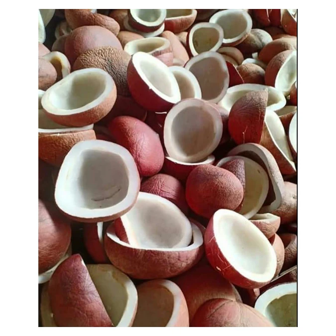 Best Quality Coconut Copra / Dried Coconut