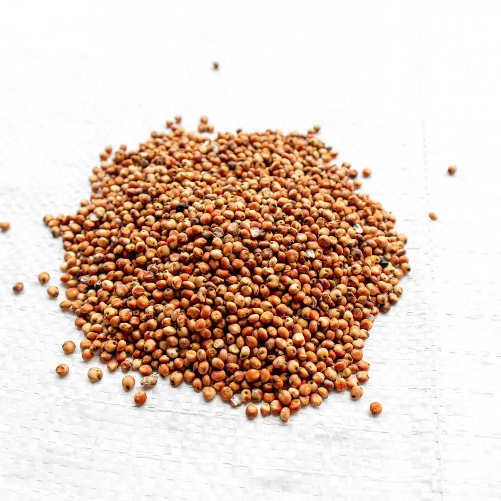 wheat grains for sale spelt grain for sale yellow corn grains  bulk barley