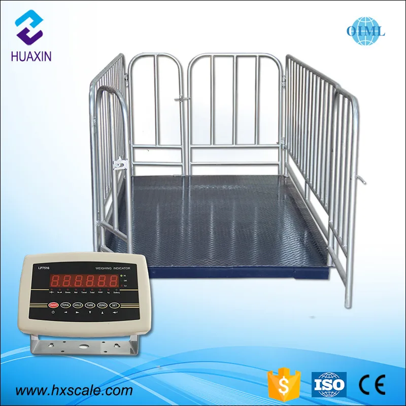 Лидер продаж, электронный цифровой дисплей, весы для взвешивания свиней, крупного рогатого скота и овец