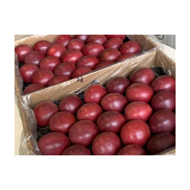 competitive price Passion fruit new season crop fresh customized size orange yellow green top quality  best seller wholesale del