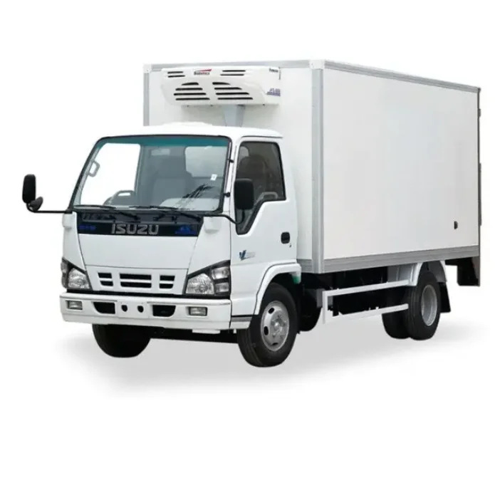 refrigerator van truck for meat and fish for sale box 10 ton ice cream freezer food storage transmission refrigerator