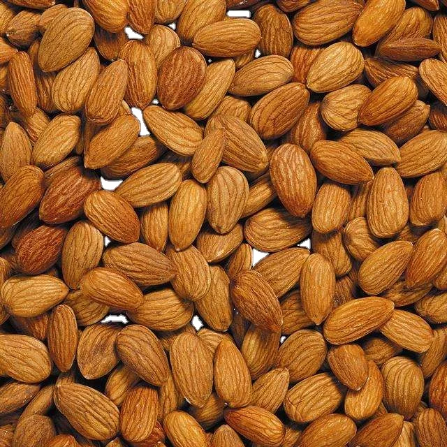 High Quality / Top Brazilian / Healthy snack top grade organic almond kernels shelled almonds nuts in bulk Raw unshelled almonds OEM service