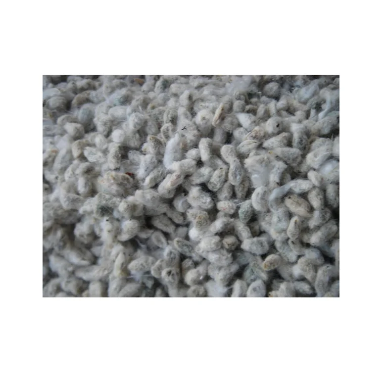OEM Privet Label Cotton Seed with Pure Natural & Customized Size Packing Available For Sale By Indian Exporters