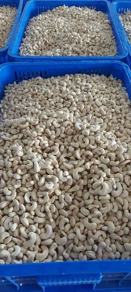 Best Selection High Quality 100% Organic Cashew Kernels ww320  Vietnam is ready to ship