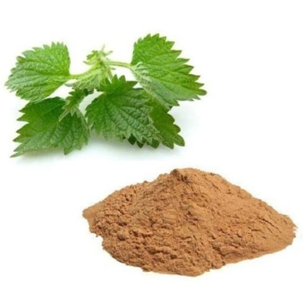 New Spot Wholesale Nettle Root Extract with Pure Natural Grade Nettle Root Extract For Sale By Exporters