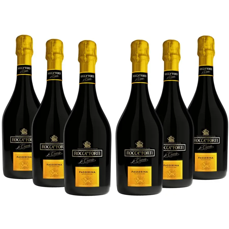 Сделано в Италии Rocca dei Forti прохожий груз 750 мл X 6 коробка для сверкающего