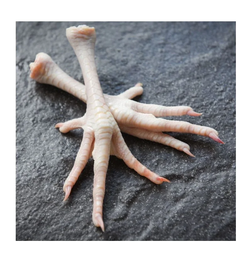 Bulk Stock Available Of Halal Frozen Chicken Feet | Frozen Chicken Meat At Wholesale Prices