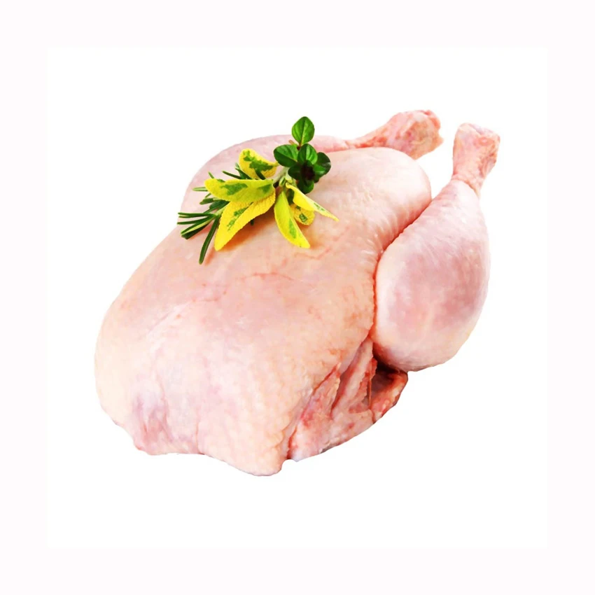 Wholesale halal frozen whole chicken with and without giblets body chicken style packaging