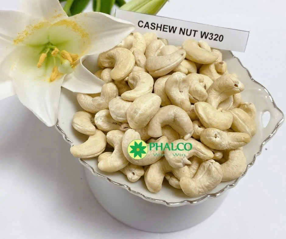 ORGANIC CASHEW NUT/ CASHEW KERNEL FULLY WHITE CRISPY FROM VIETNAM