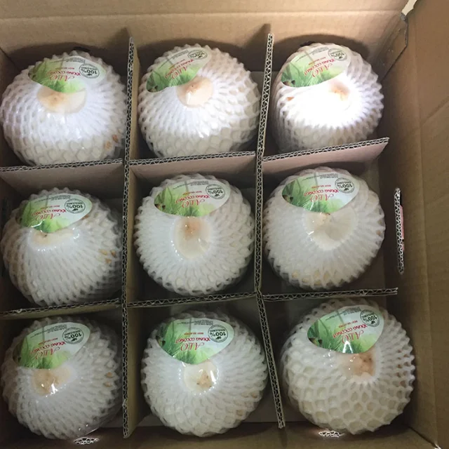 Vietnam Coconut Export With Enough License Global Gap Clean Delicious Delicious Bulk