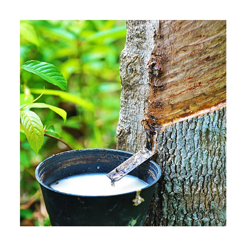 Hot Selling Wholesale Price White Color 100% Pure Natural Latex Liquid Low Ammonia From Vietnam Origin