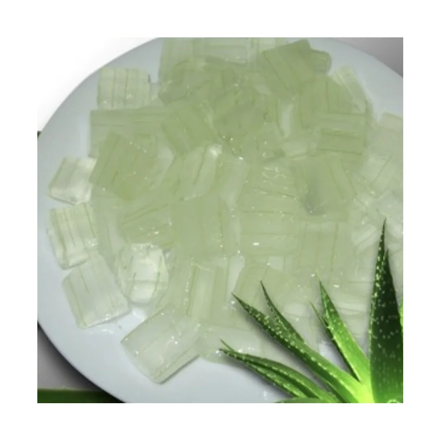 Top Grade Aloe Vera Jelly for Premium Drinks and Healthy Dessert Recipes