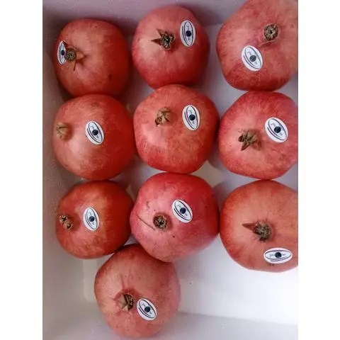 Best Quality Wholesale 100% Natural Sweet Delicious Egypt Origin Fruits Red Fresh Pomegranate