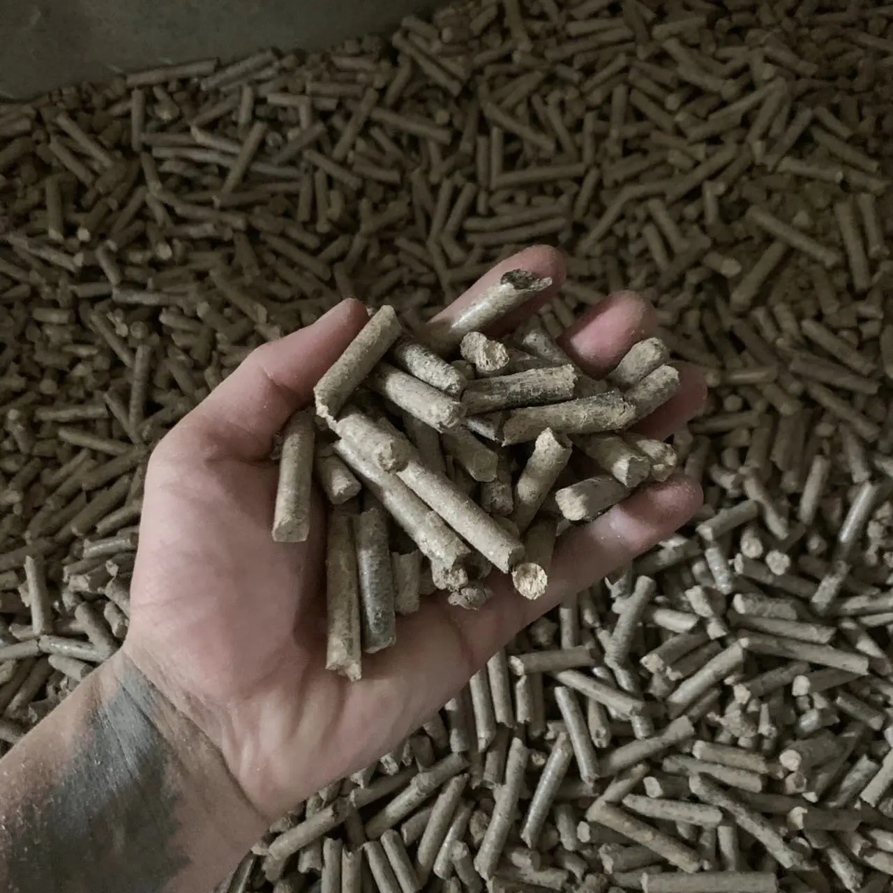 Wholesale 6mm 8mm Wood Pellets- A1/A2 Biomass Wood Pellet Heating Wood Pellets Europe from Vietnam/Ms.Thi +84 988 872 713