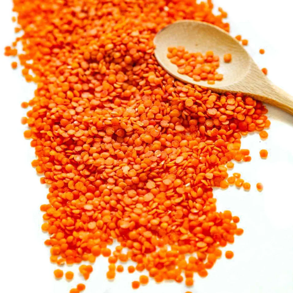 Good quality Red Lentils ecological product of Russia manufacturer prices grains and beans in bulk