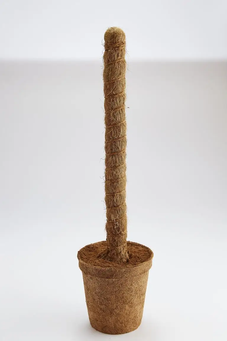 Coir grow poles for gardening purposes enhances effectiveness and efficiency of plant growth sustainable and eco-friendly