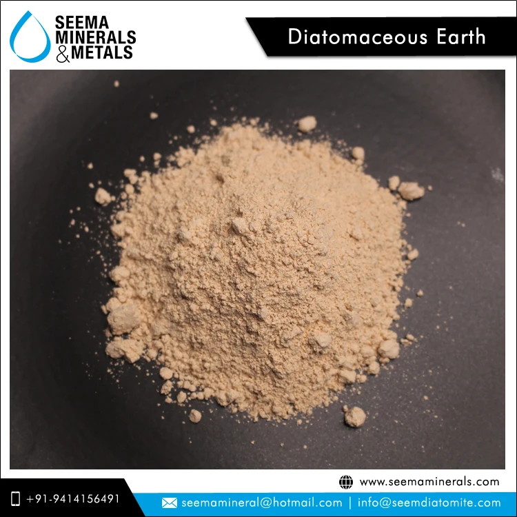 Bulk Distributor Selling Best Grade Off-White Color 100% Natural Diatomaceous Earth Grains for Animal Bedding