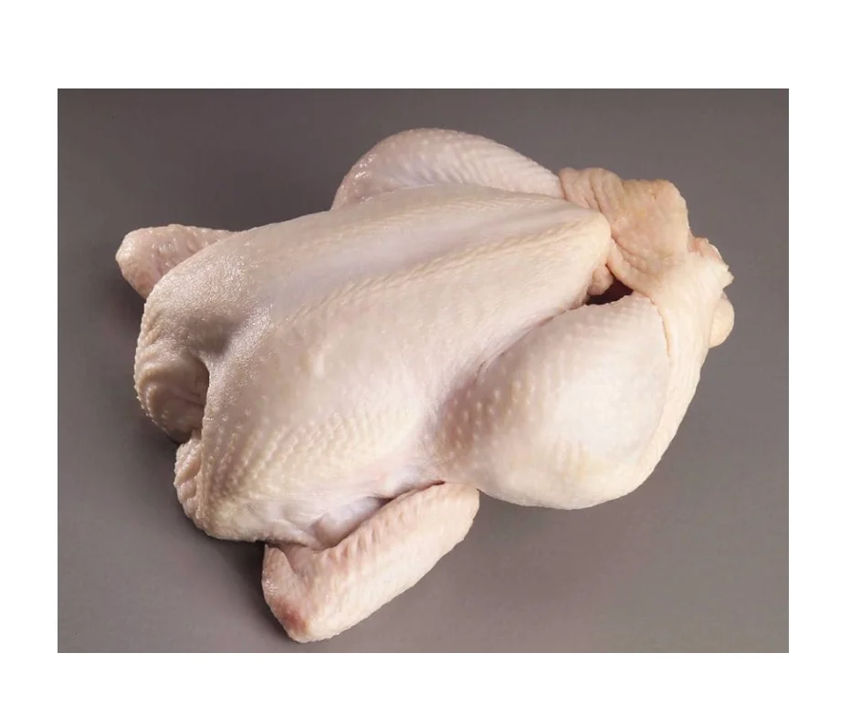 Wholesale Halal Frozen Skinless Fresh Frozen Whole Chicken Halal Chicken Breast Premium Chicken Meat For Sale