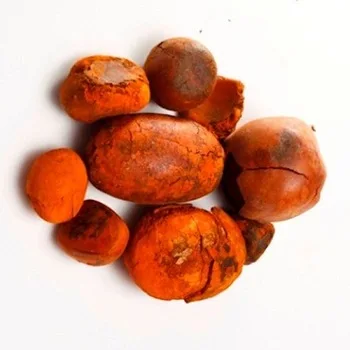 gallstones ox and cow for sale