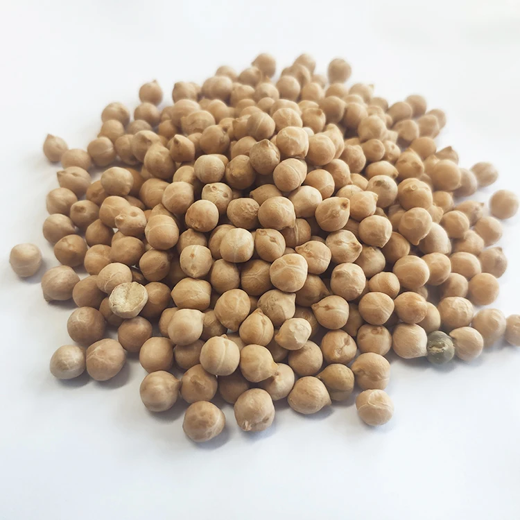 India Wholesale High Quality Chickpeas/ Best KabuliI Chick Peas 11 mm