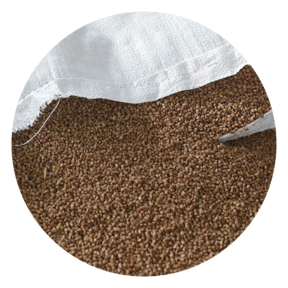 Buckwheat groats wholesale from manufacturer buckwheat grain in bulk