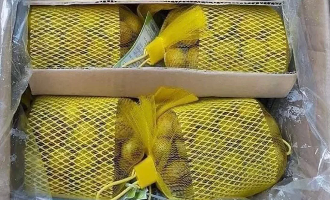 Premium Quality with Best Seller Frozen Longan (seed-in) Agriculture Product from Thailand