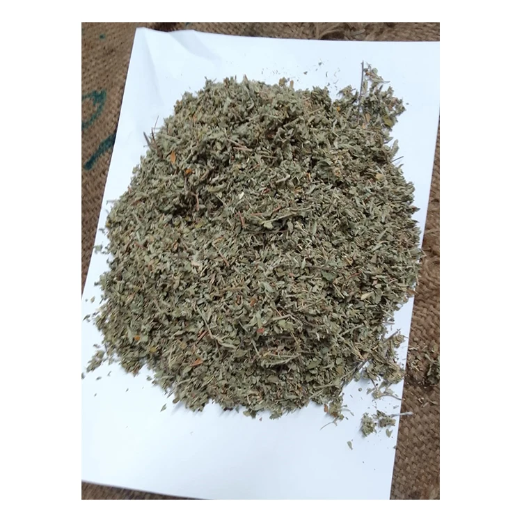 High Quality Top Selling Indian Herbal Product Damiana Leaves for Bulk Buyers at Low Market Price