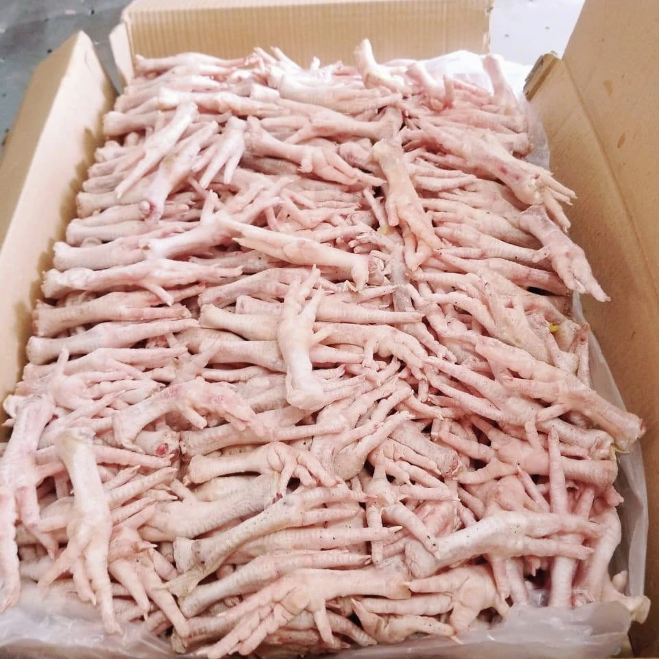 Frozen Chicken Feet Chicken Paws, Breast Drum sticks available for Export