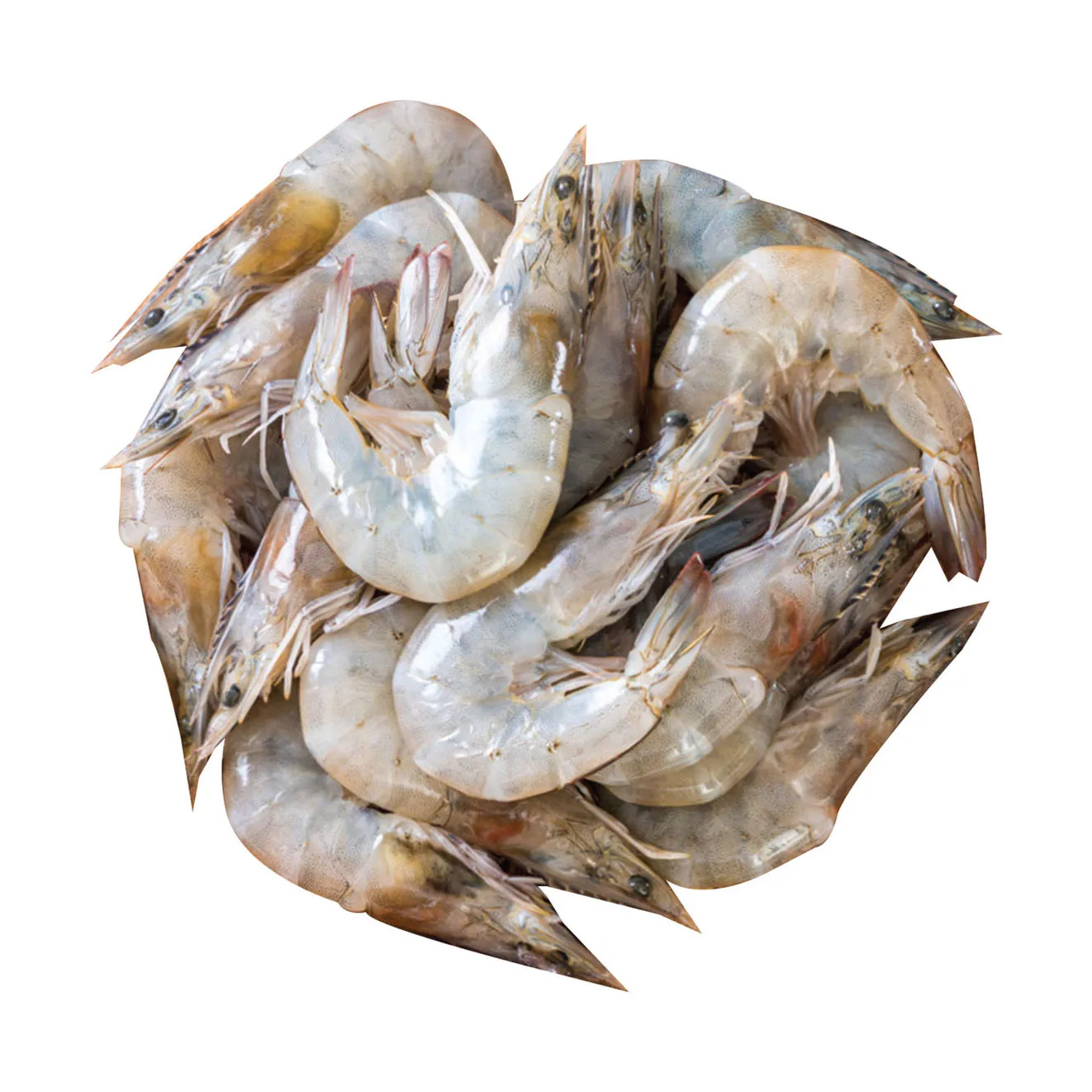 Hot Sale Seafood Frozen Vannamei Shrimps HLSO with Cheap Price Quality White Prawns for Export Bag Bulk Style