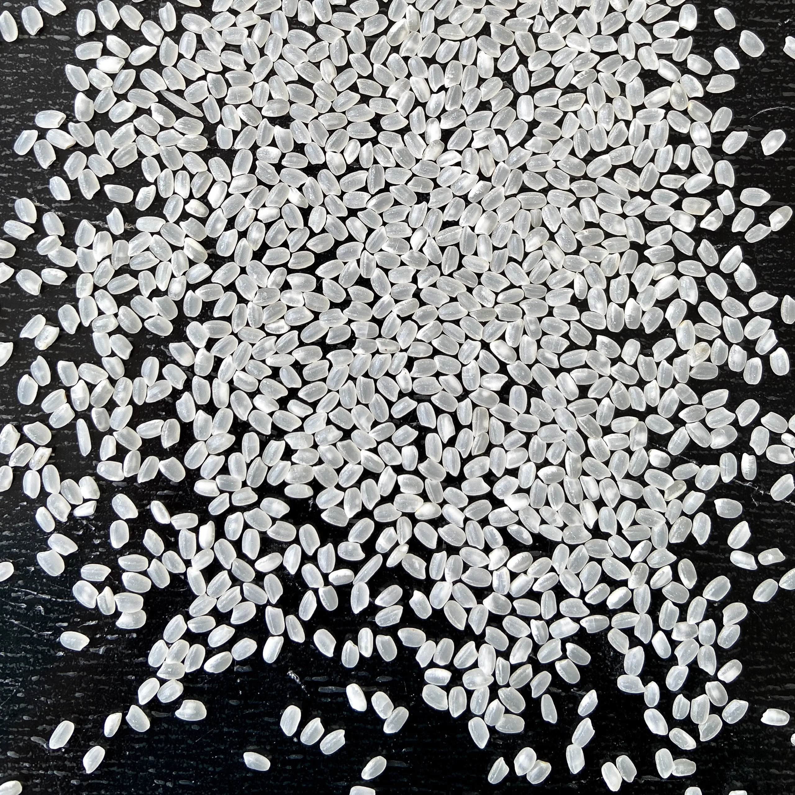 Vietnamese Rice High Quality Japonica/Sushi round Organic Rice  Soft Texture Konjac Organic(WS+84 971629648 - Ms. Lona)