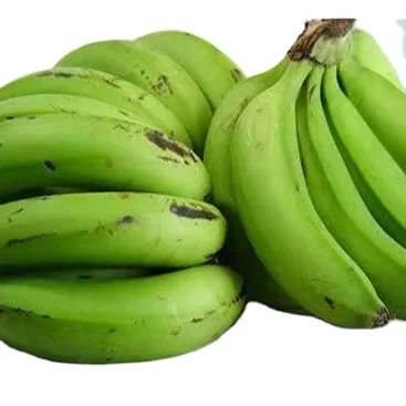 Fresh Organic Cavendish Banana Top Crop Green Tropical Variety OEM Style with Optimal Color Weight Origin Almond Type