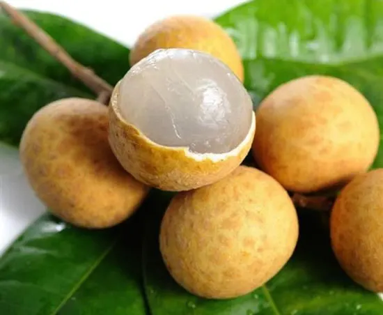 Longan Labels Wholesale Price No Seeds Original Factory