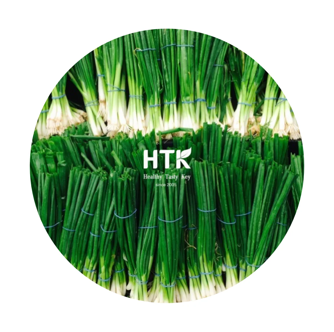 Новинка 2022 замороженный весенний лук зеленый сделано во Вьетнаме завод HTK FOOD для продуктов питания